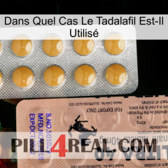 Dans Quel Cas Le Tadalafil Est-Il Utilisé 41